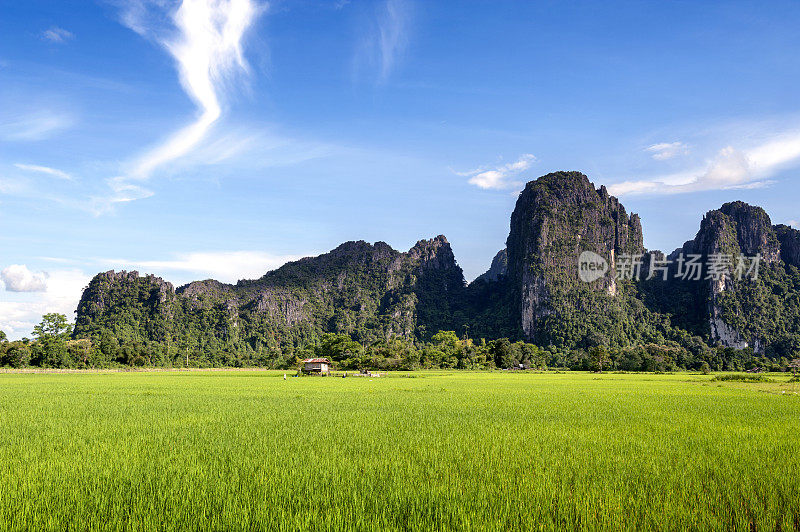 老挝人民民主共和国著名旅游胜地Vang Vieng的绿色稻田和石灰岩山脉。